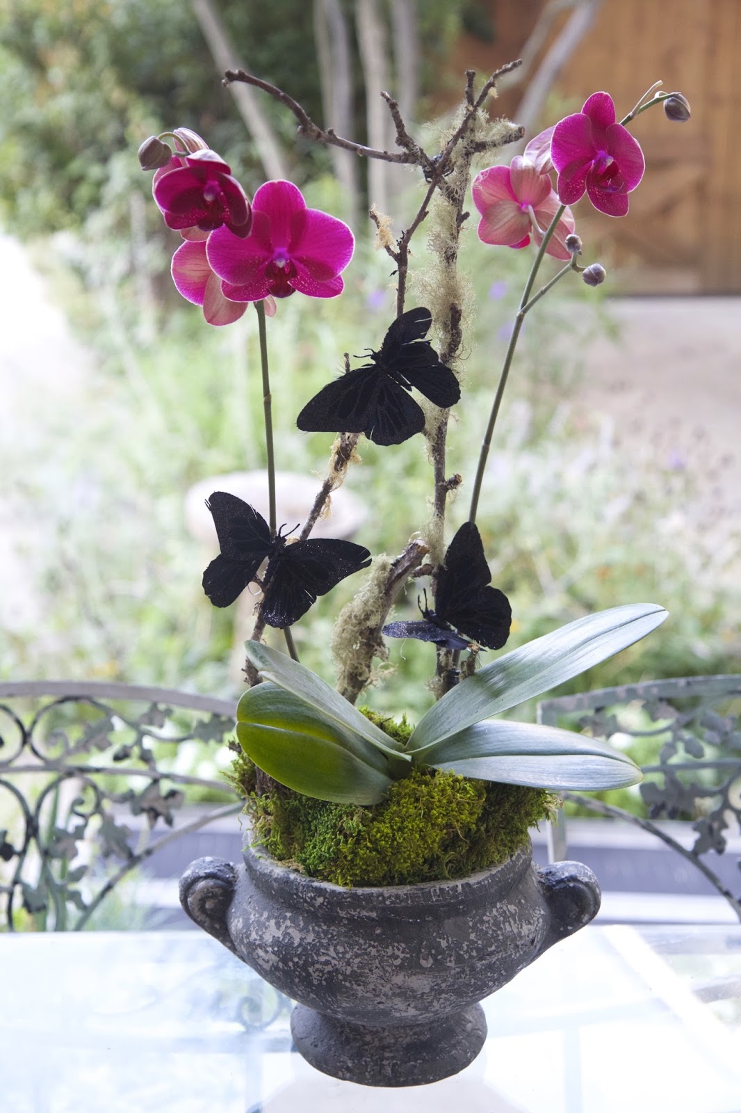 Nora's Nest How to Design and Style an Orchid