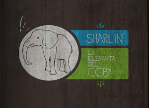 SHARLIN, la elefanta del CCB - Documental de Julio Tejeda