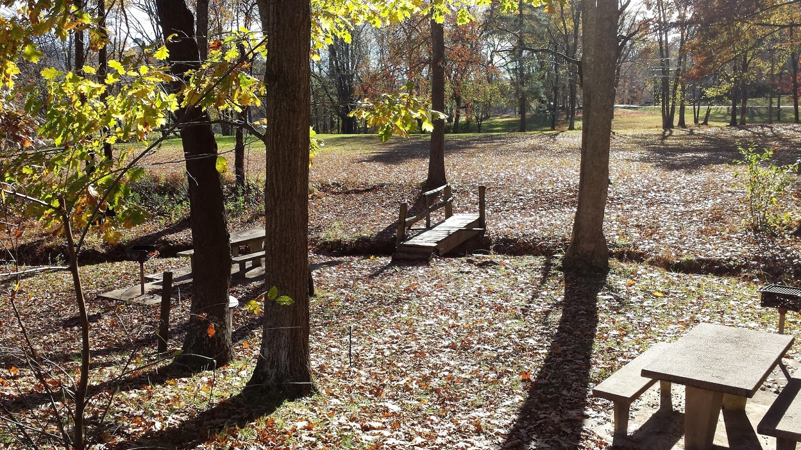 Technically Homeless Campground Review Davy Crockett State Park