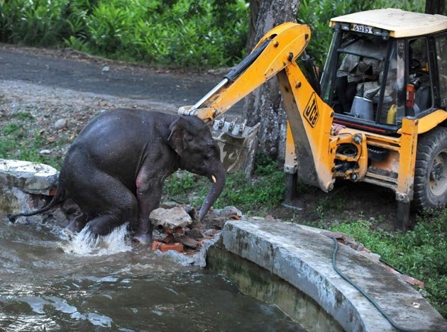 UNBELIEVABLE PICTURES