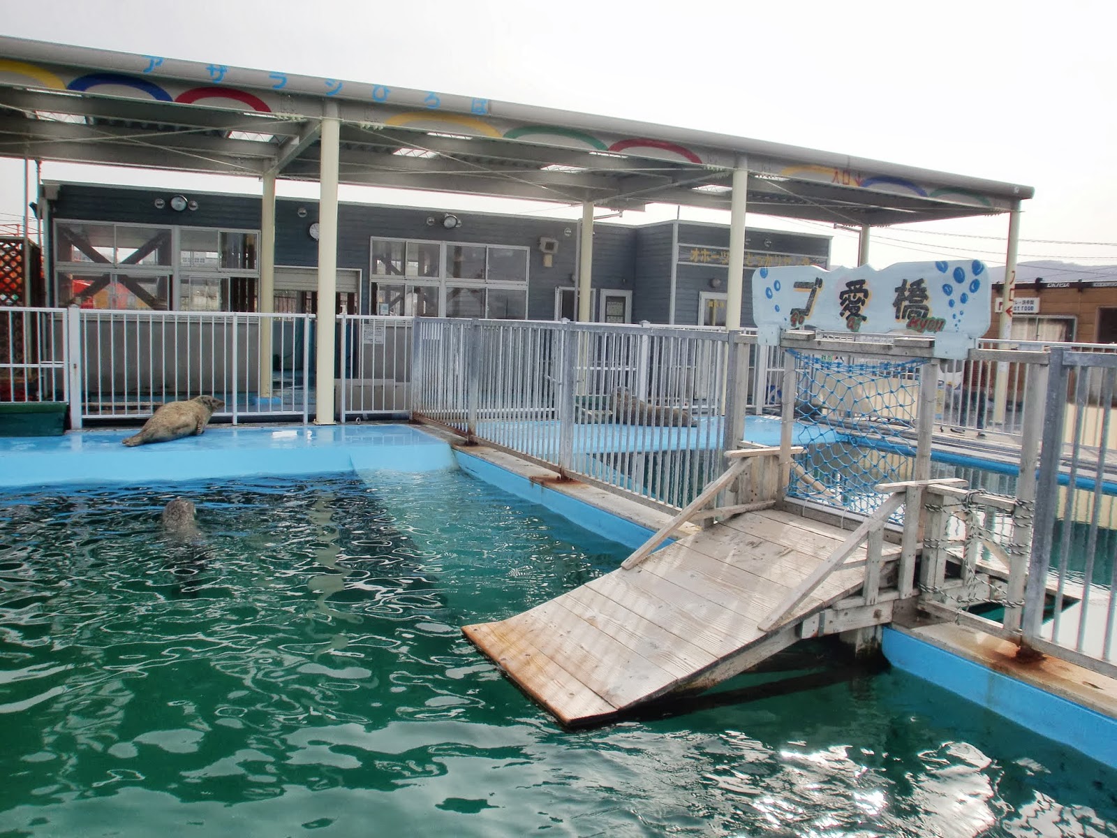 かめきちの水族館ブログ オホーツクとっかりセンター(2012.05.01)