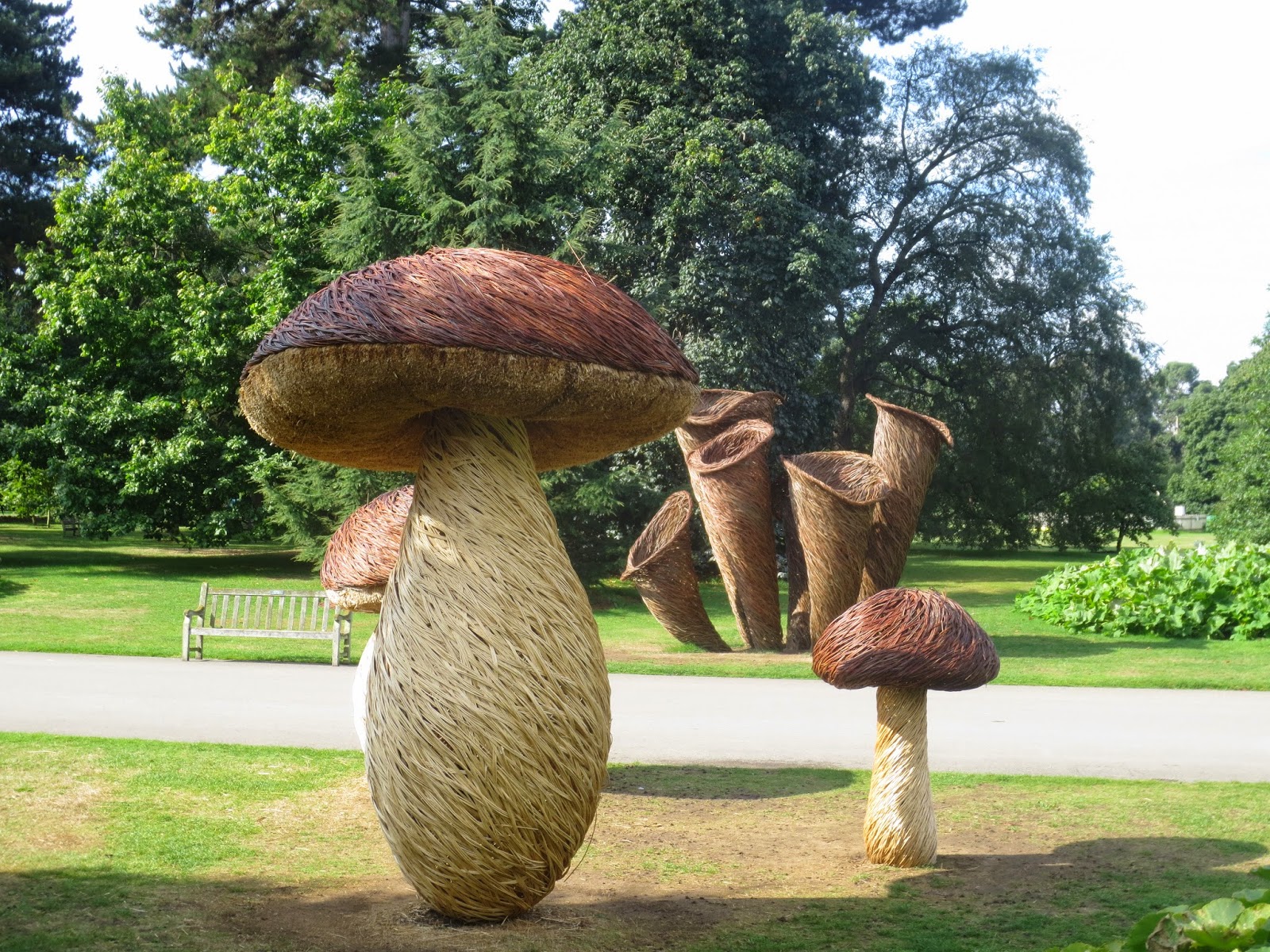 tom hare fungi sculpture fairy ring mushroom photography botanical garden kew park (3) tom hare fungi sculpture fairy ring mushroom photography botanical garden kew park (3)