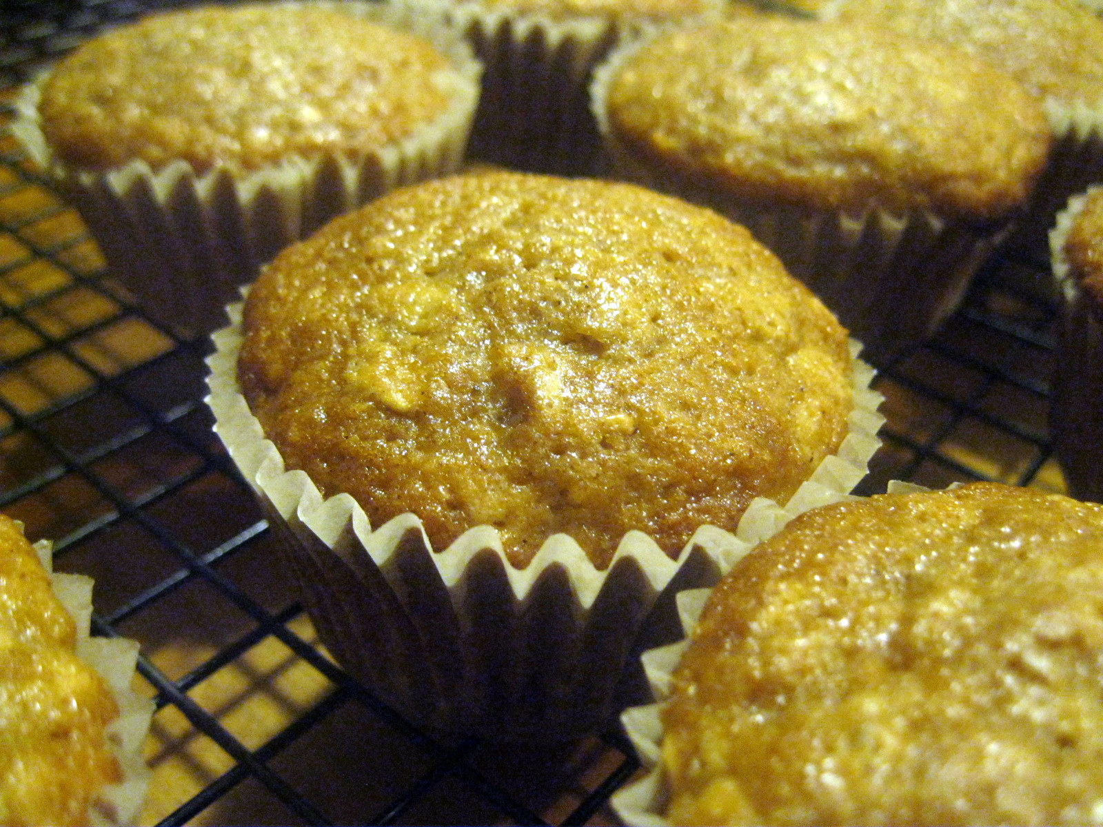 Adirondack Baker Buttermilk Oatmeal Muffins
