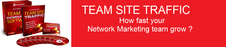 Team Site Traffic Review