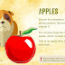 Είναι καλή λιχουδιά το μήλο για το σκύλο μας;...