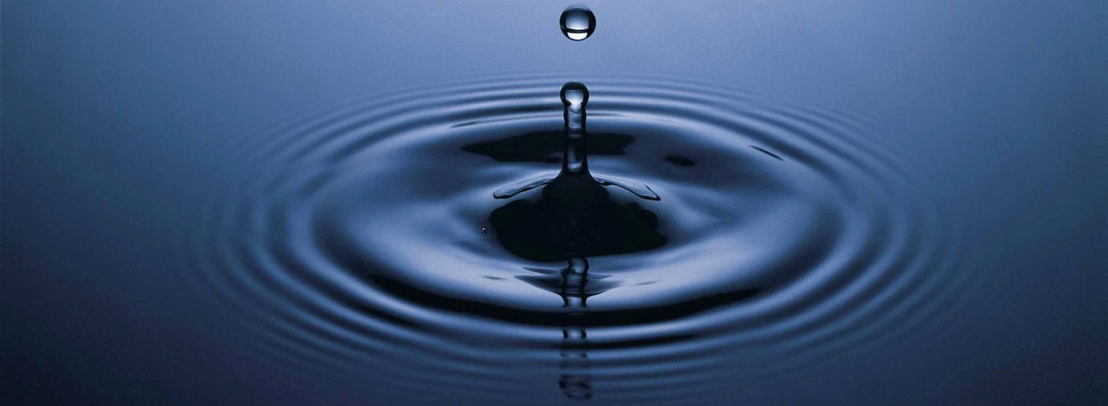 Opened Eyes... You rocked it...(and giveway winner)