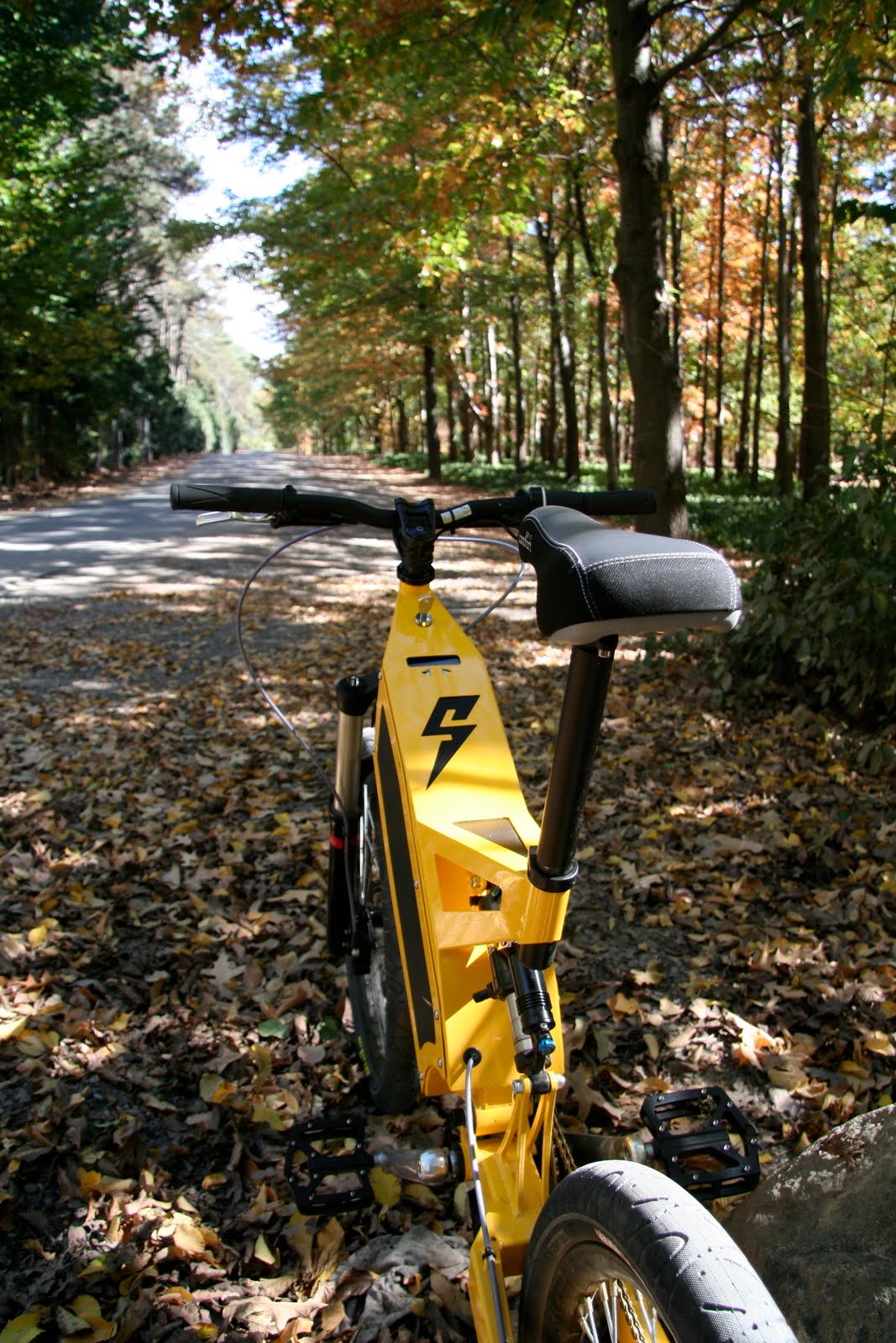 Canvas+rider+bike