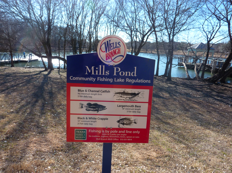 A Lovely Stroll Around Mills Pond Free Fun in Austin