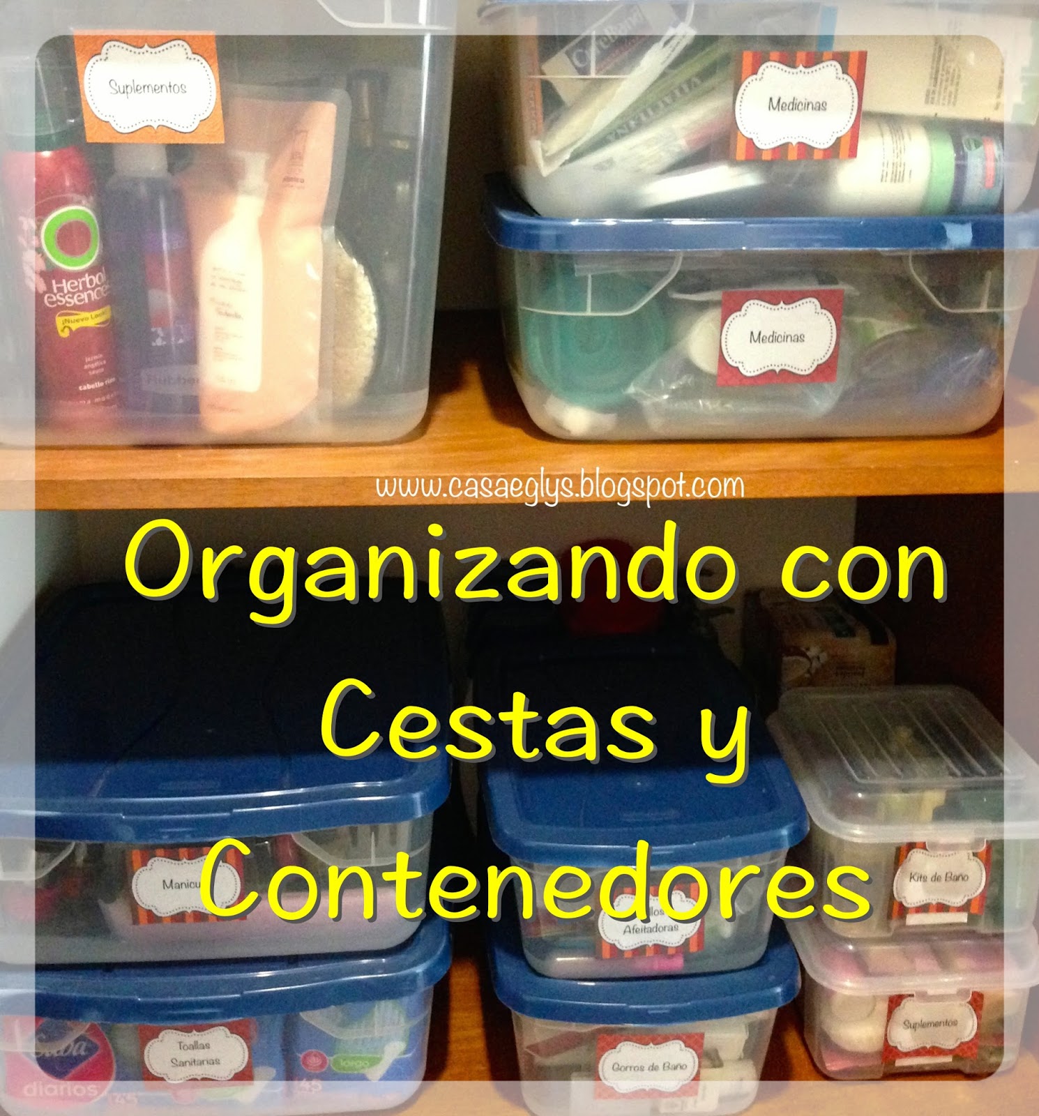 Organización: Organizando con Cestas y Contenedores