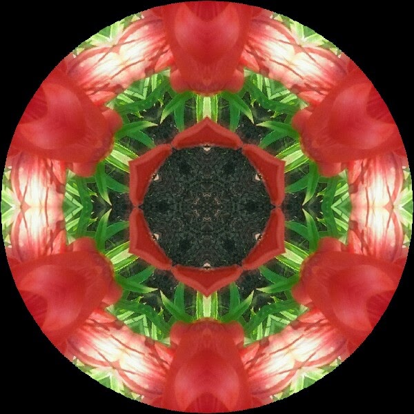 Https Www Kaleidoscope Co Uk Fashion Tops Tunics Kaftans N Izzpxzzo Https Www Kaleidoscope Co Uk Fashion Tops Tunics Kaftans N Izzpxzzo