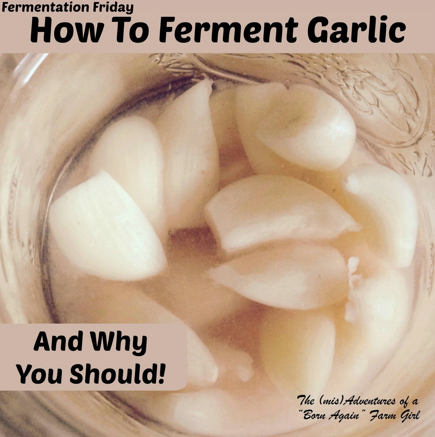 http://bornagainfarmgirl.blogspot.com/2015/01/fermentation-friday-how-to-ferment.html