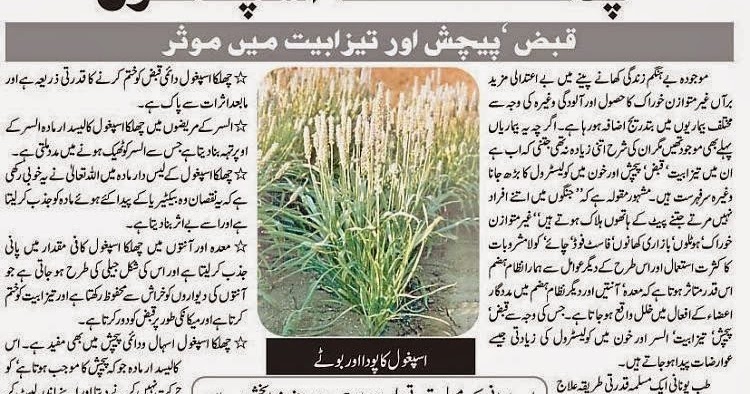 meaning of affect in urdu