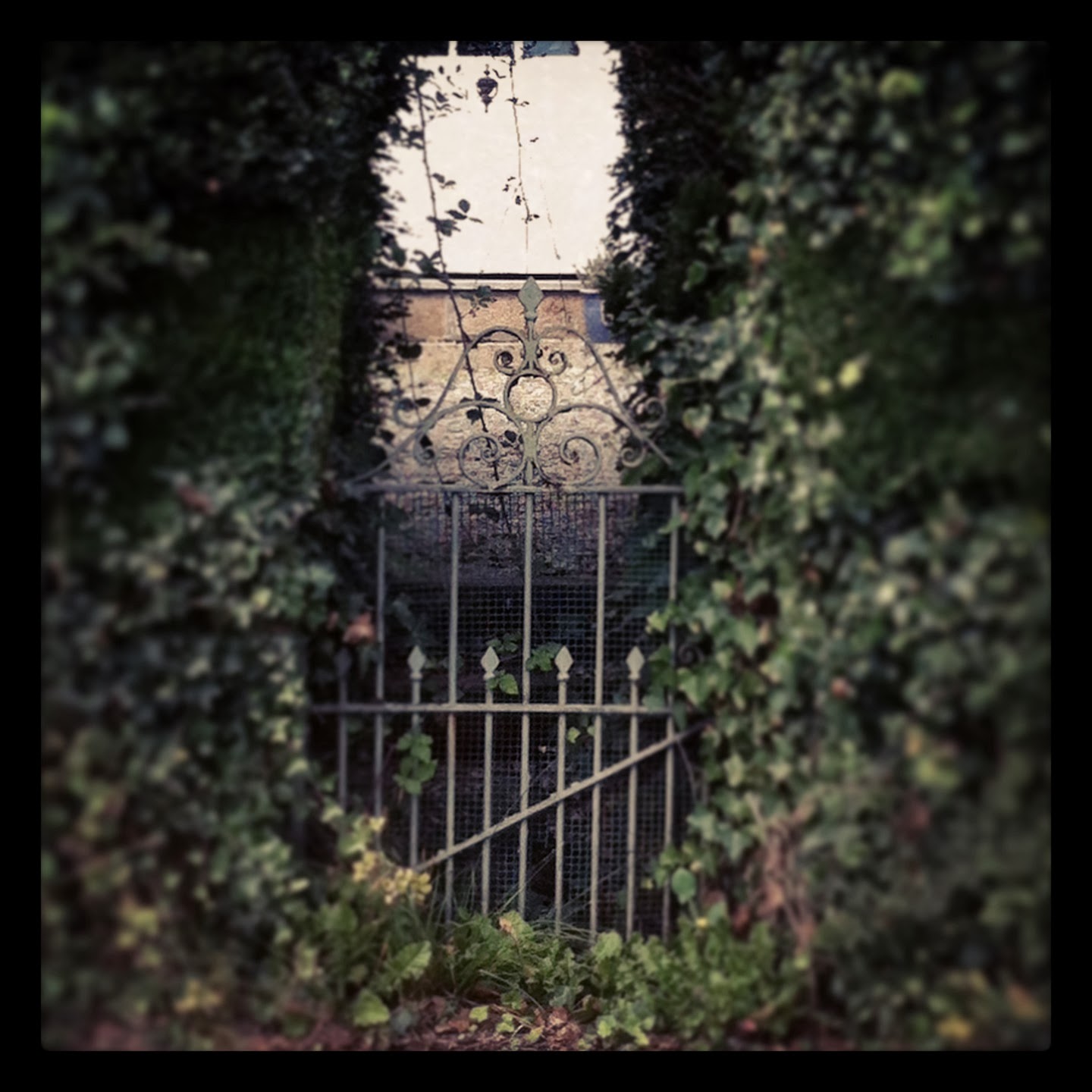 A Gate that leads to thoughts and things