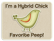 I made the top 3 over at The Hybrid Chick