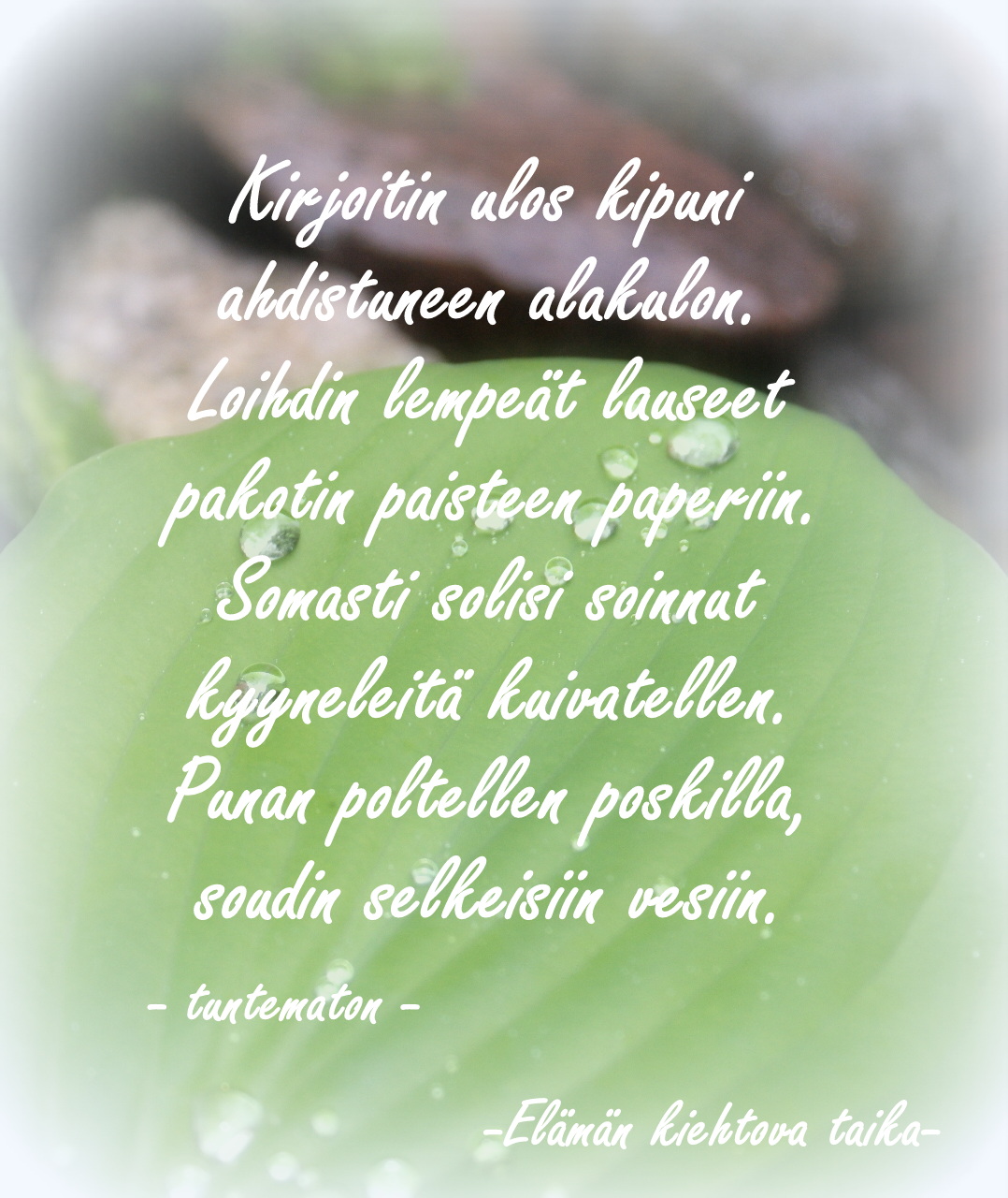 kiimapillu thai hieronta oulu tuira kiimapillu thai hieronta oulu tuira