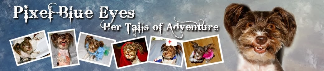 Pixel Blue Eyes - Her "Tails of Adventure"