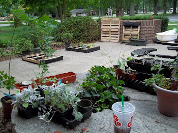 Central Children's Patio