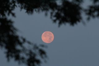 not quite full moon photo of not quite full moon