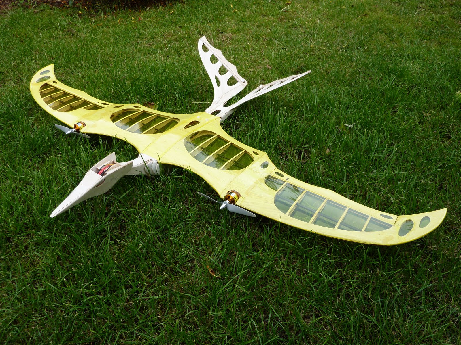 Matt Chamberlain's Radio Control Blog Pterodactyl Covering commences