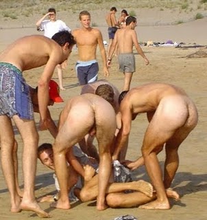 Transsexual beauty queens 10 torrent Drab lunch gay