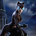 Catwoman DC Universe Online