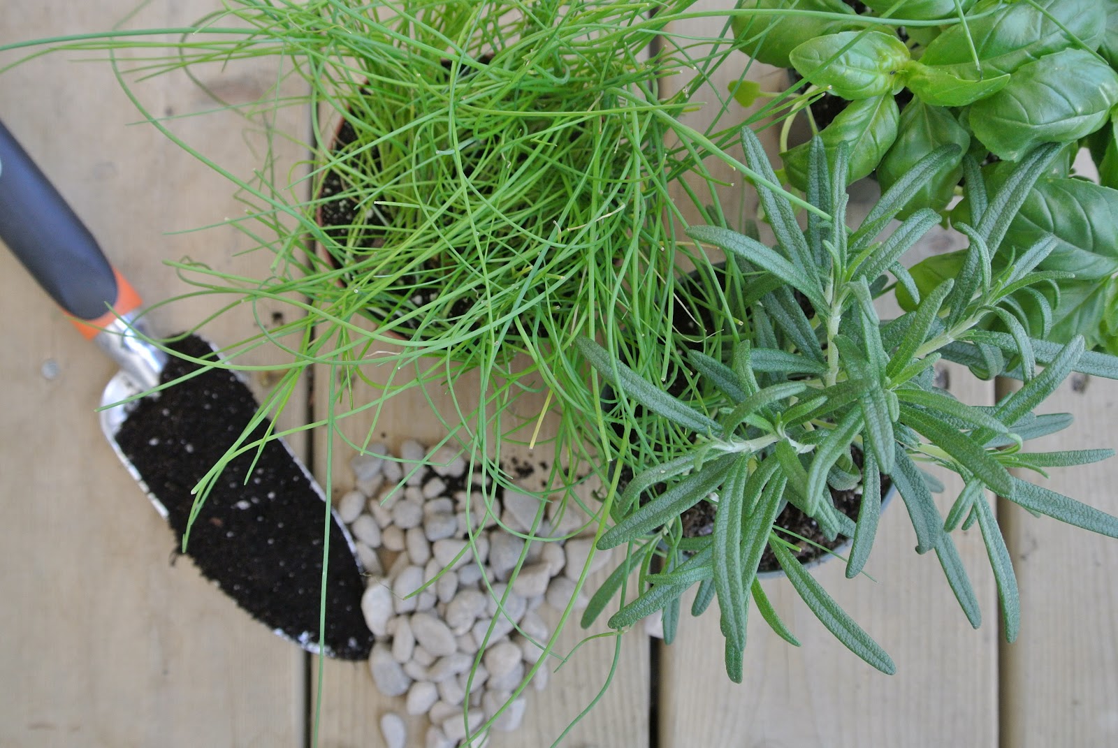 loveshack chic DIY mother's day indoor herb garden