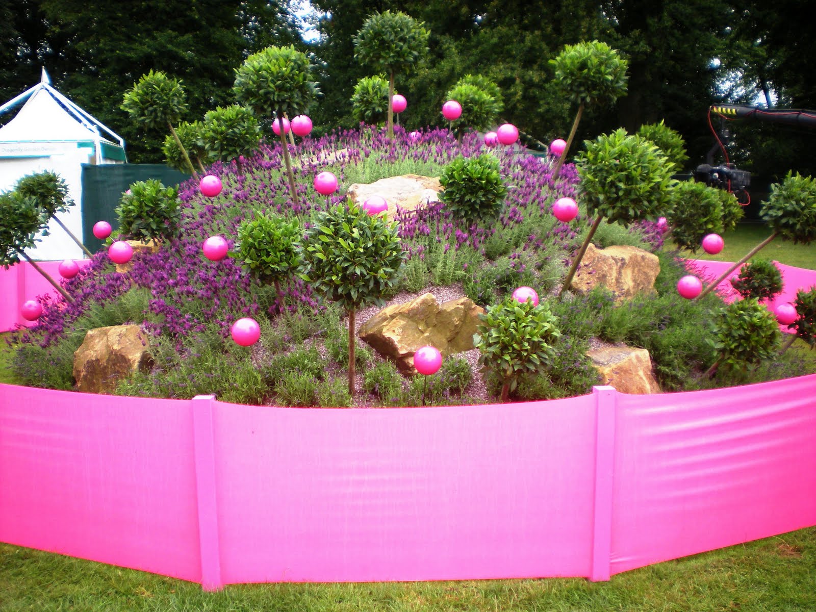 Rockery Amsterdam