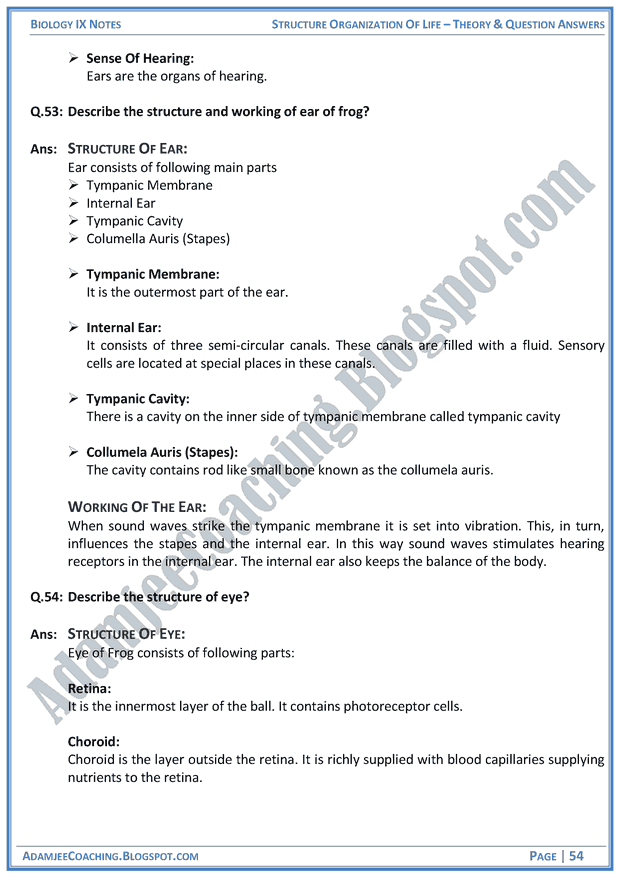 structural-organization-of-life-theory-notes-and-question-answers-biology-notes-for-class-9th