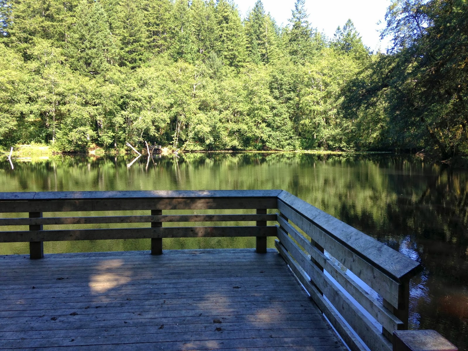 beachwalkerz Camping at Hebo Lake