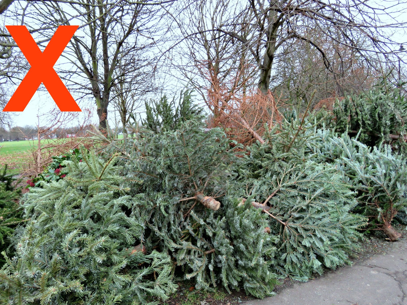 just saying christmas trees plastic or real cut just saying christmas trees plastic or real cut