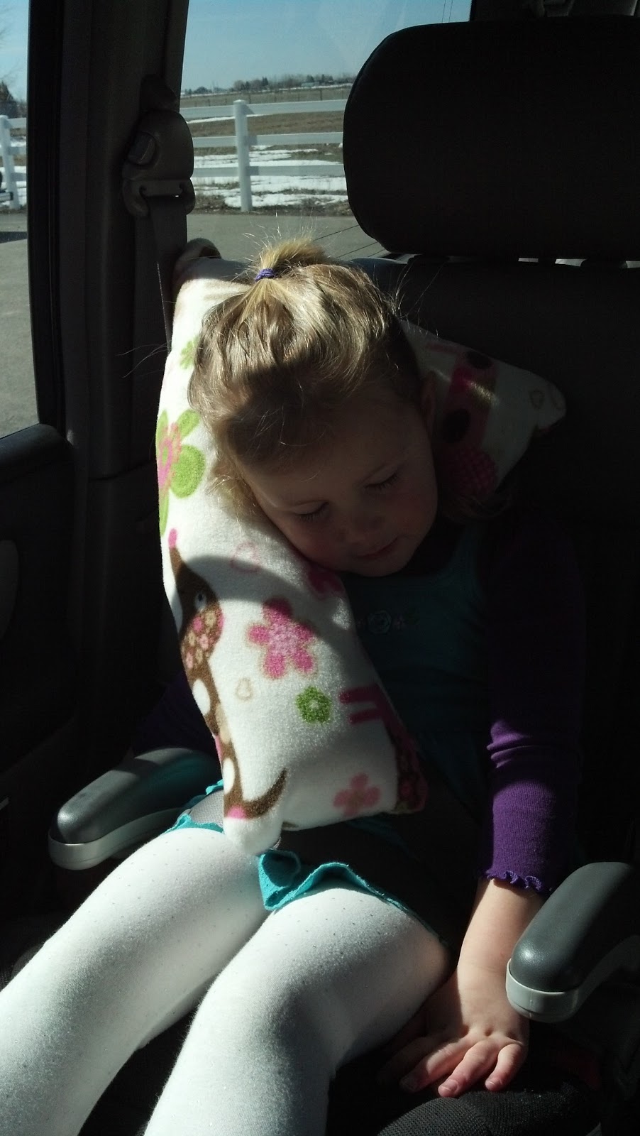 A Few Of My Favorite Things Seat Belt Pillow Tutorial