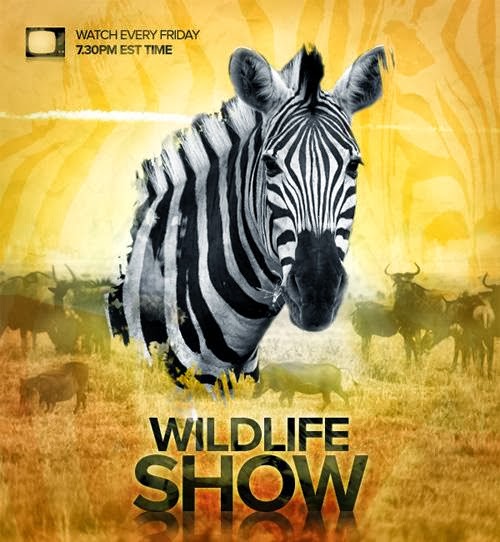 Wildlife TV Show Poster Wildlife TV Show Poster