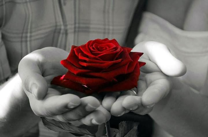 cute DP's For Girls - Love Quotes Urdu Shayari Love Wallpapers Romantic Wallpapers