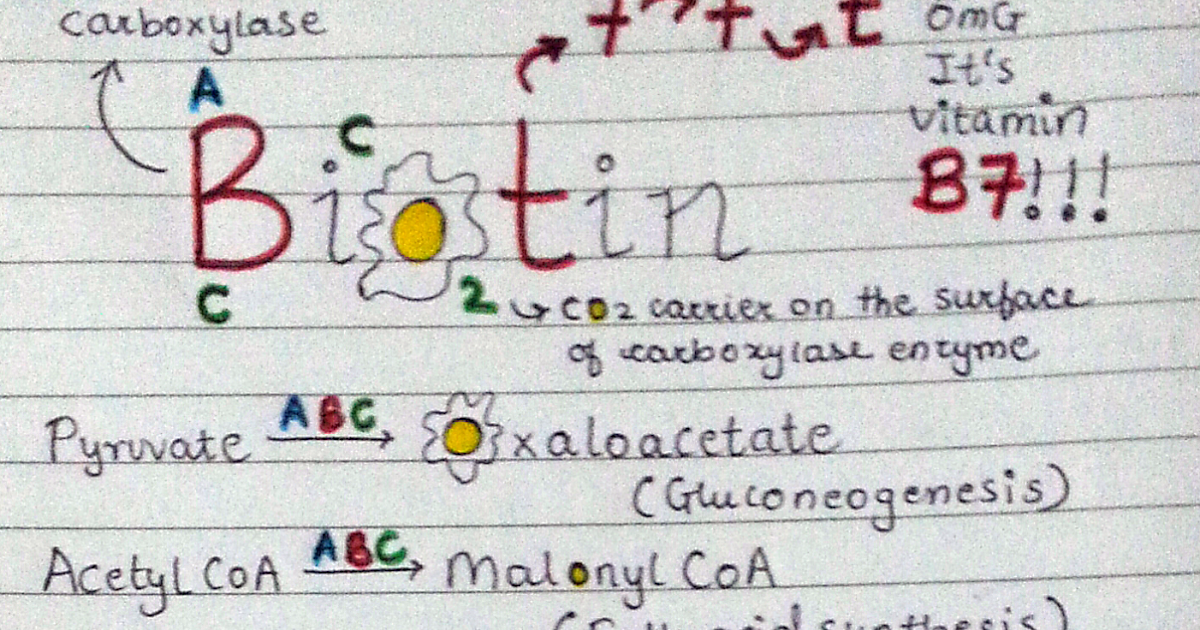 Medicowesome Biotin (vitamin B7) mnemonic