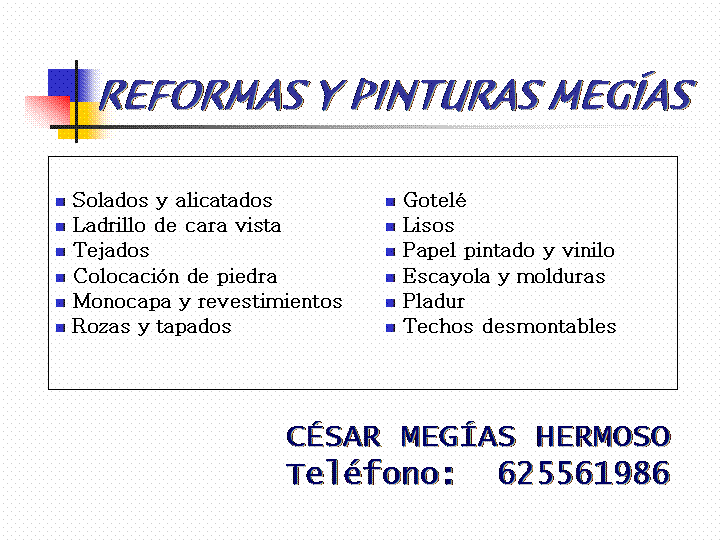 REFORMAS Y PINTURAS MEGÍAS