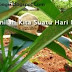 Ingatlah, Maut Akan Menjemput Kita