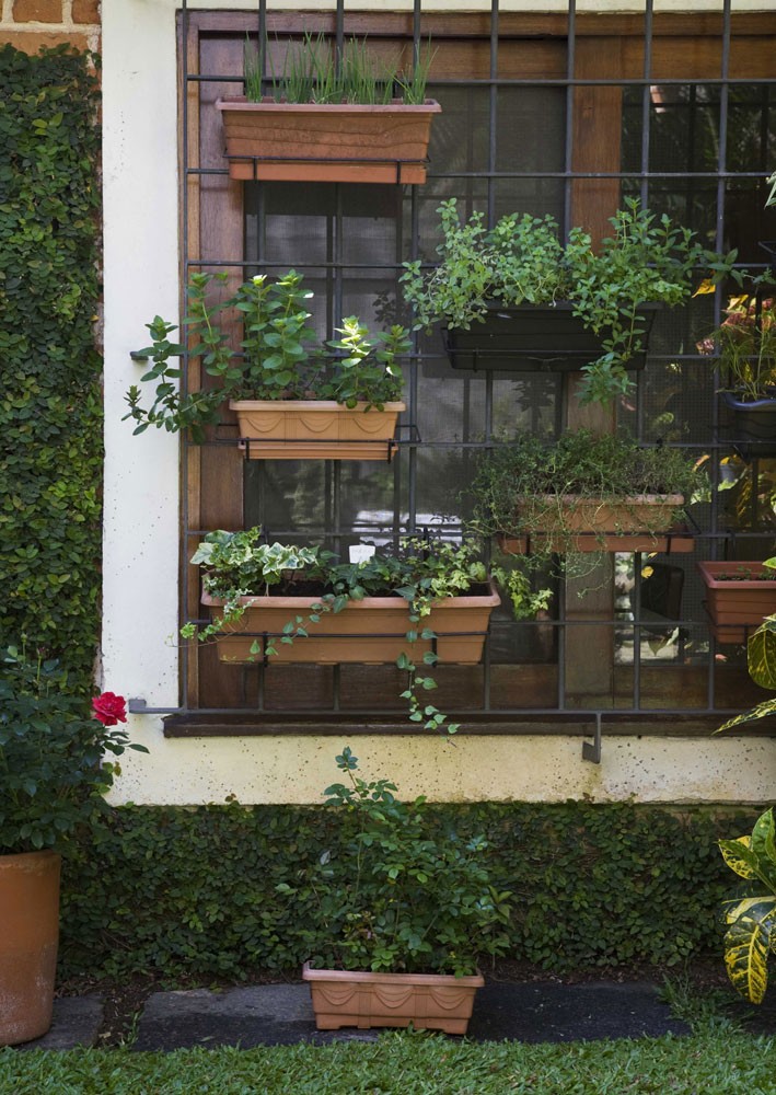 jardim vertical no sol:Sem categoria – Seu Estilo de Morar – Blog da Rizzo jardim vertical no sol:Sem categoria – Seu Estilo de Morar – Blog da Rizzo