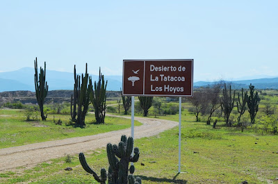 los-hoyos-desierto-la-tatacoa-huila desierto-la-tatacoa-huila