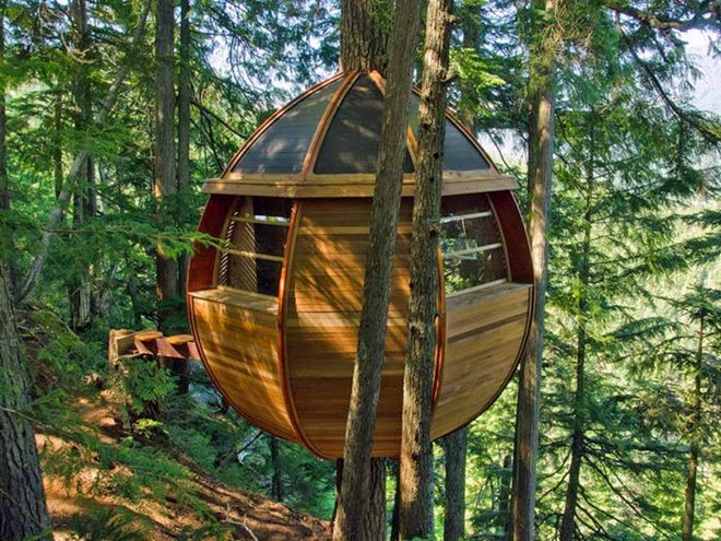 Nhà Cây hình quả trứng, Whistler Woods, Canada Nhà Cây hình quả trứng, Whistler Woods, Canada