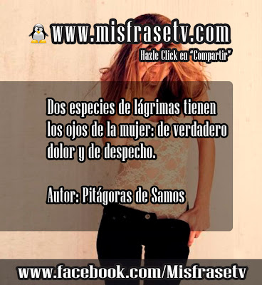 frases de lagrimas del sol frases de lagrimas del sol