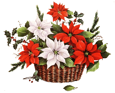 ® Colección de Gifs ®: IMÁGENES DE FLORES DE NAVIDAD
