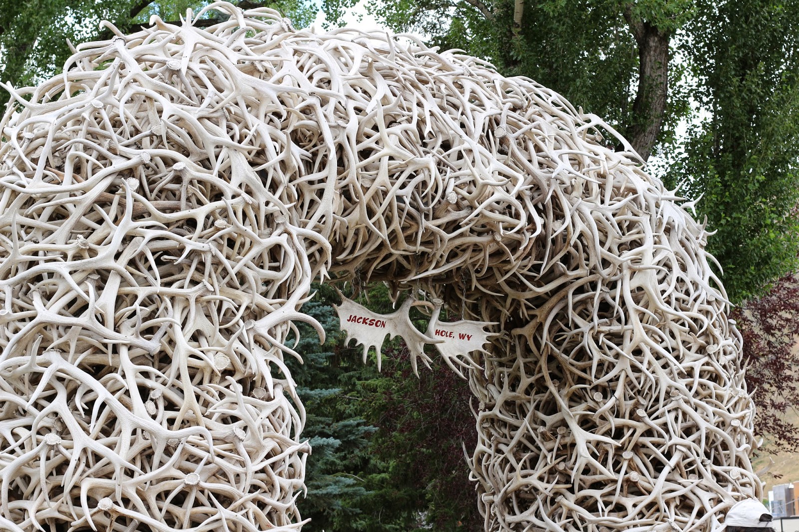 Jackson+Hole+Wyoming+Elk+Antlers+with+Jay+Scott+Outdoors+1.JPG