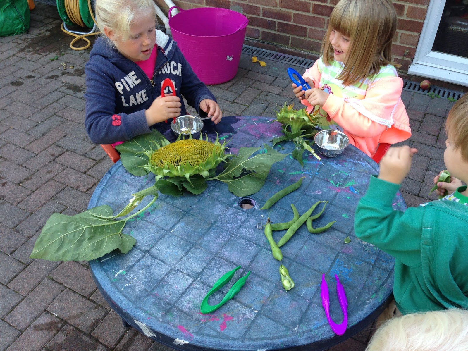 Preschool Play Sunflowers and Seeds