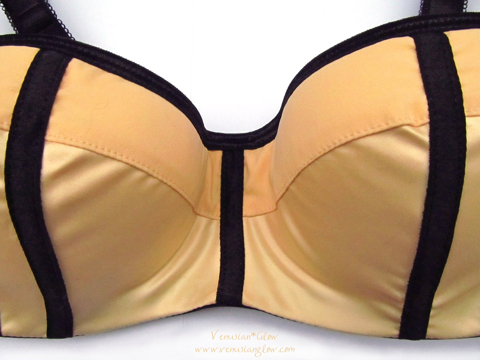 Review Parfait Affinitas Charlotte in 30DD Venusian*Glow