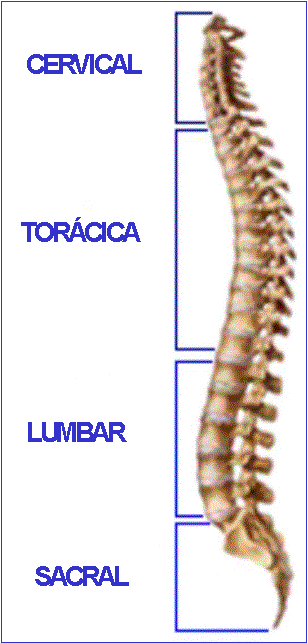 LESIONES CERVICALES POR lesiones cervicales por: