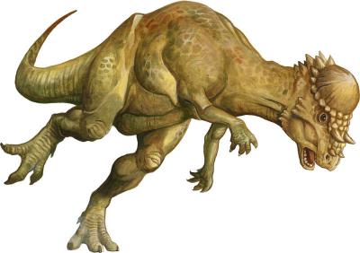 Pachycephalosaurus