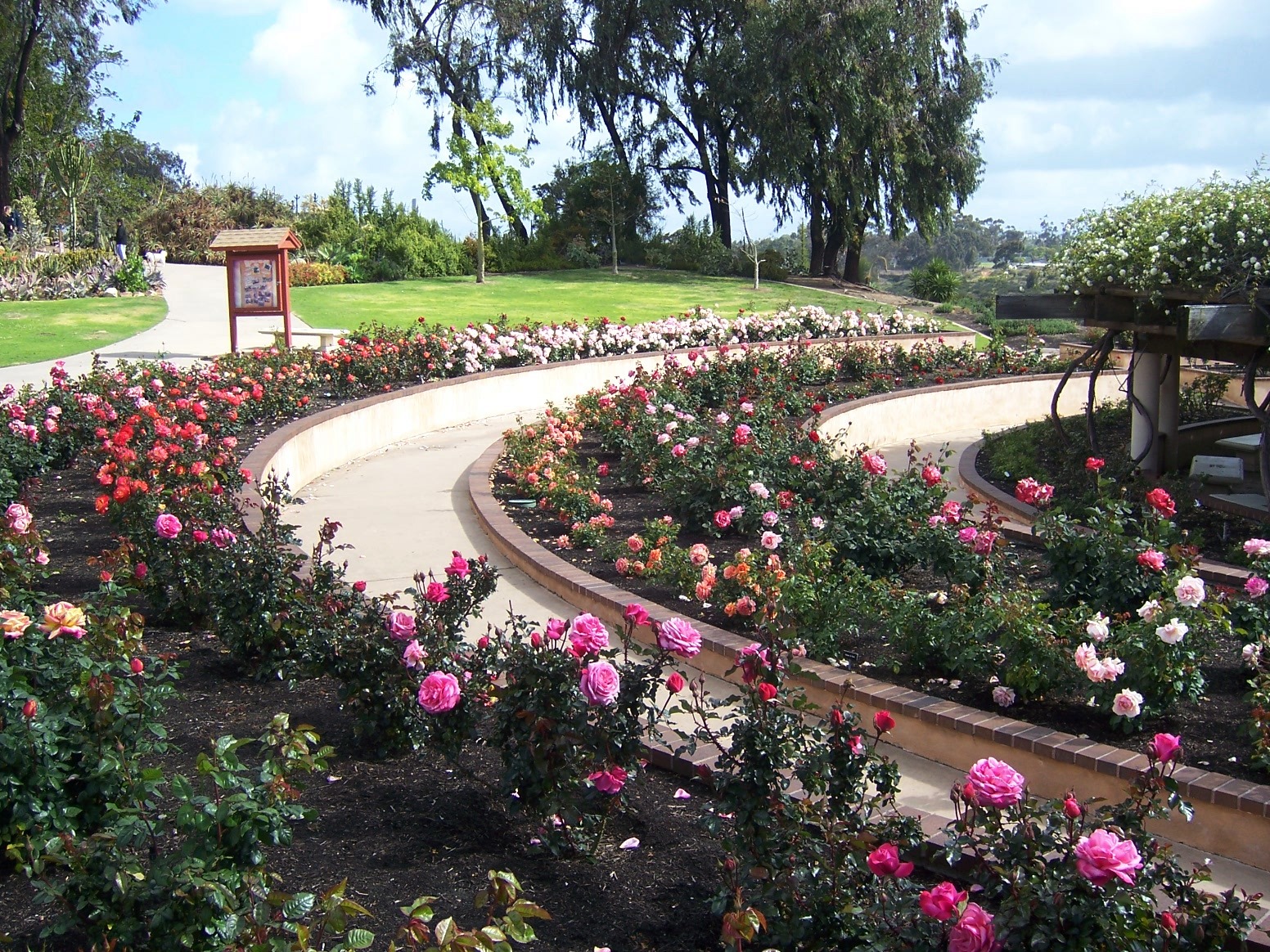 The 2 Minute Gardener Garden Resources Balboa Park Rose Garden