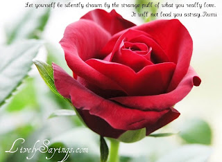 Lively Sayings Inspirational Motivational Lively Quotes Sayings quotations uplifting quotable quotes