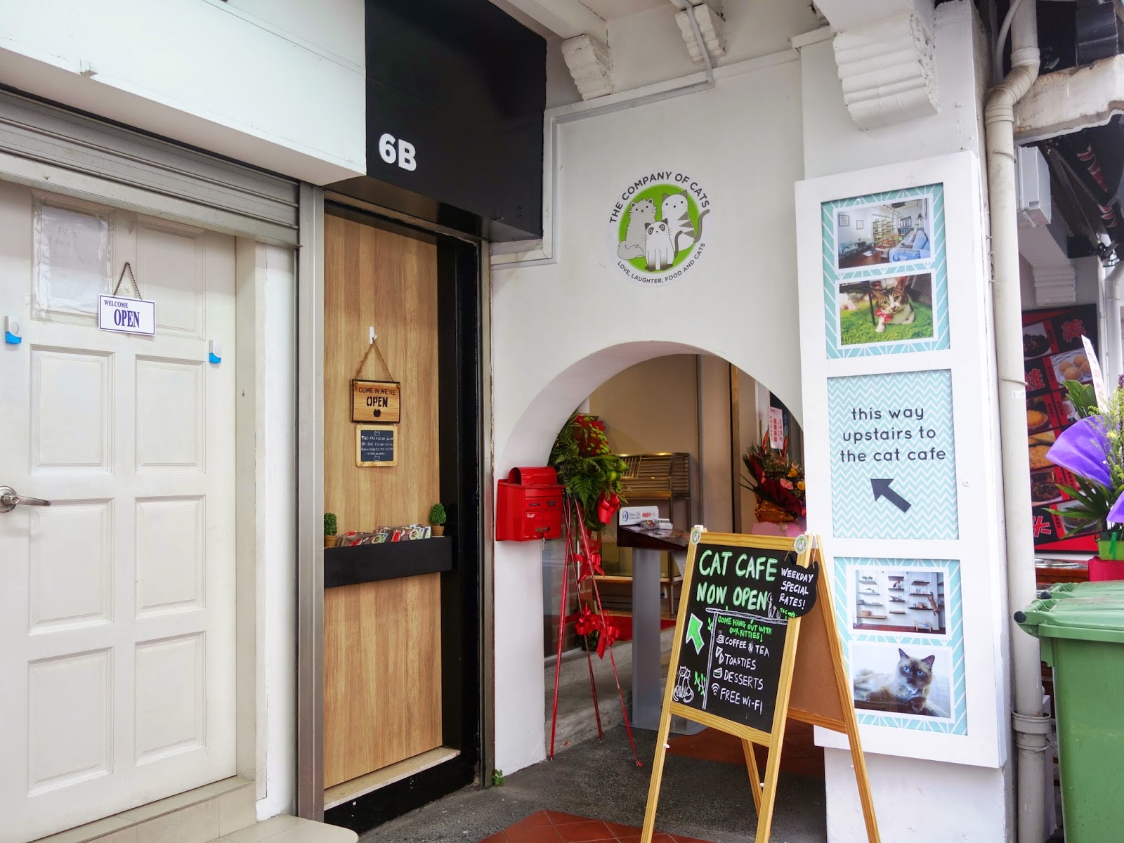 PinkyPiggu The Company Of Cats Mosque Street (Chinatown) Another New Cat Cafe In Singapore!