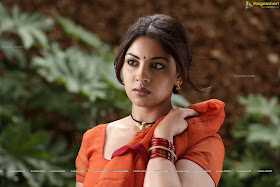 Richa Gangopadhyay Hot in saree